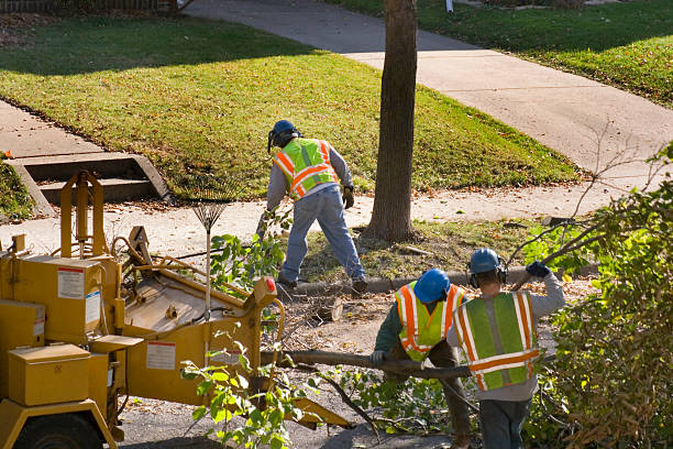 Best Firewood Processing and Delivery  in Key Center, WA